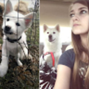 Meet your Posher, Doedoedoesit